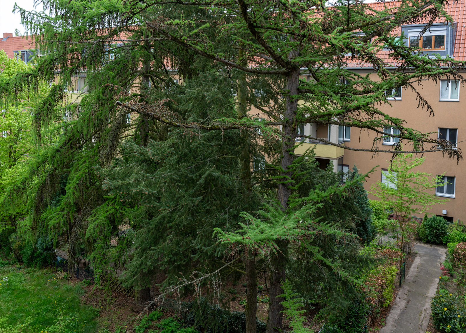 2-Zi-Whg in Spandau – Bild 7