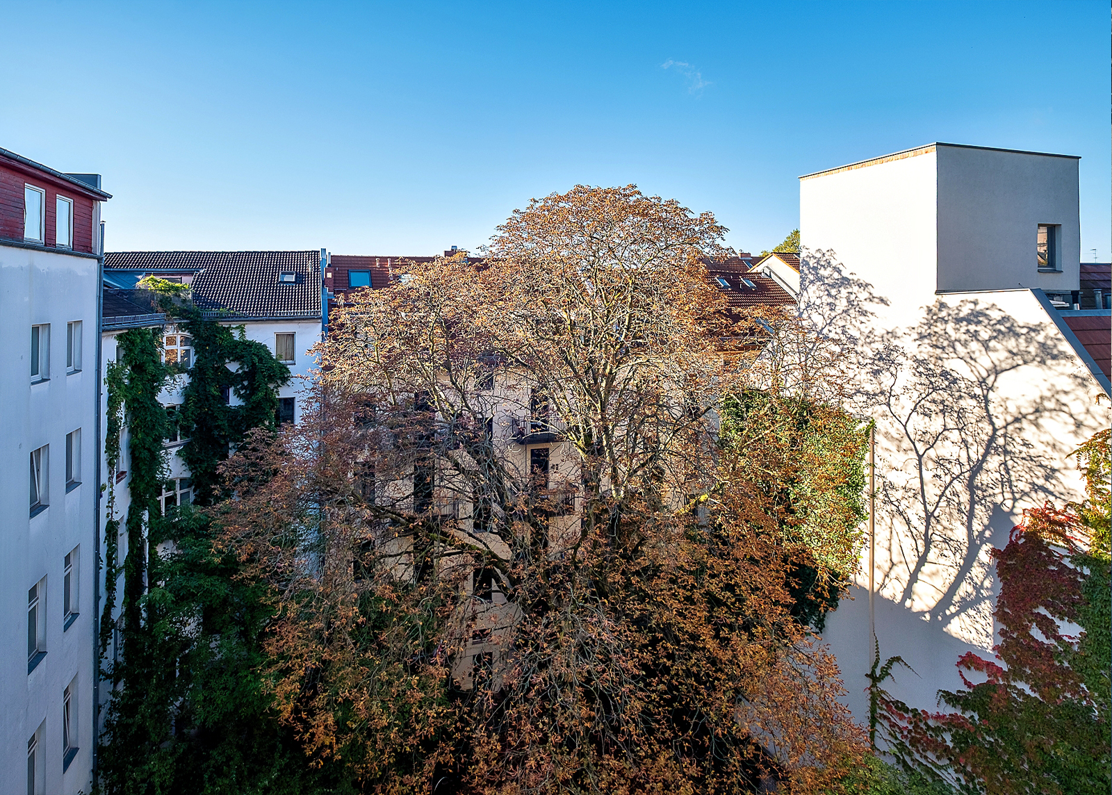 Ruhige Oase im Prenzlberg – Bild 12